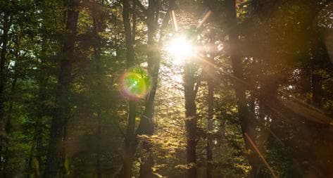 Photo principale du domaine