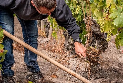 Château Cantenac Brown - 3