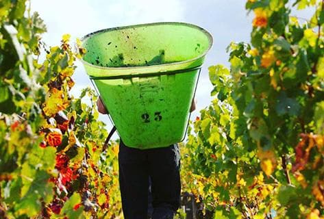 Château Chasse Spleen - 2