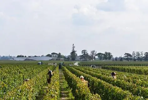 Château Cheval Blanc - 2