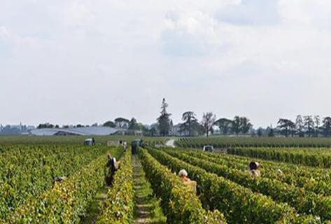 Château Cheval Blanc - 2