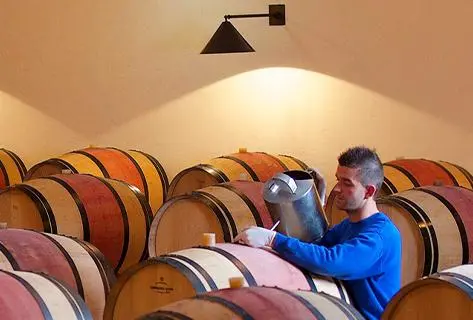 Château Clerc Milon - 1