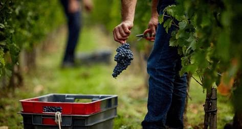 Photo principale du domaine