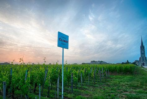 Foto della tenuta - Château Clinet