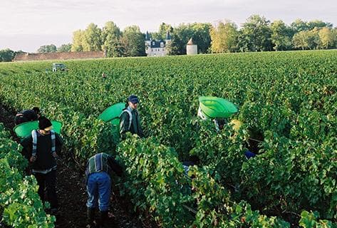 Château d'Agassac - 2