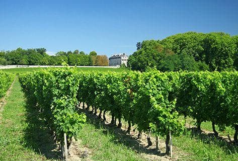 Château d'Aiguilhe - 2