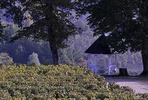 Château Dalem - 2