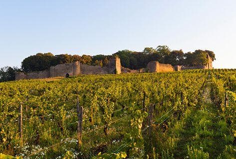 Château d'Arlay - 2