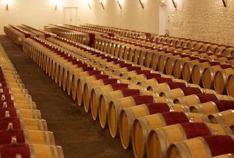 Château d'Armailhac - Mouton Baron(ne) Philippe - 4