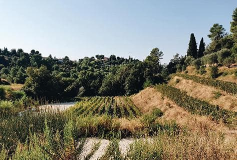 Château de Bellet - 4