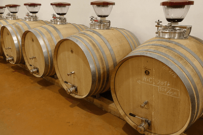 Château de Carles - 2