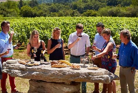 Foto des Partnerweinguts Château de Chamirey
