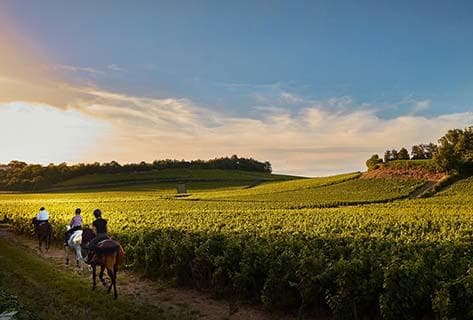 Château de Chamirey - 3