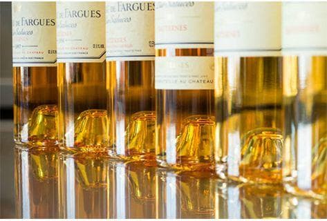 Château de Fargues - 4