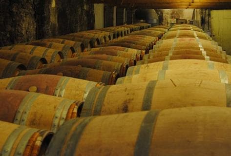 Château de Francs - Les Cerisiers - 3