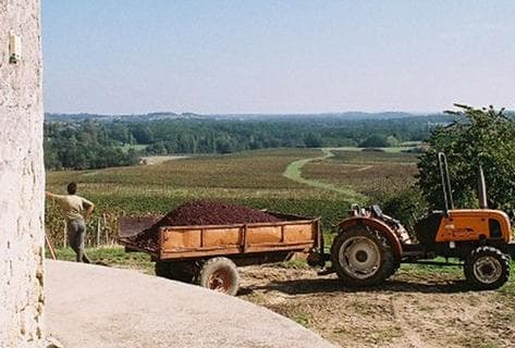 Château de Francs - Les Cerisiers - 4