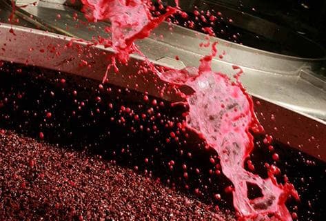 Château de Meursault - 3