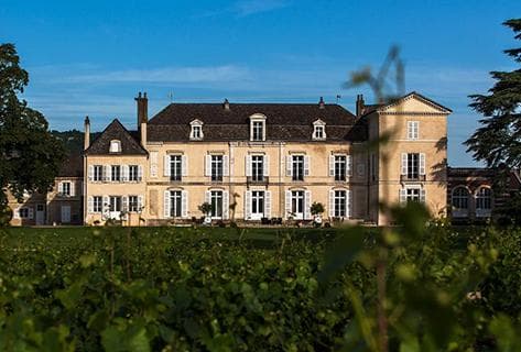 Château de Meursault - 4