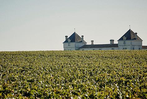 Château de Pez - 1