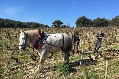 Château de Pibarnon - 2