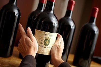 Château de Pibarnon - 3