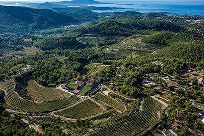 Château de Pibarnon - 4