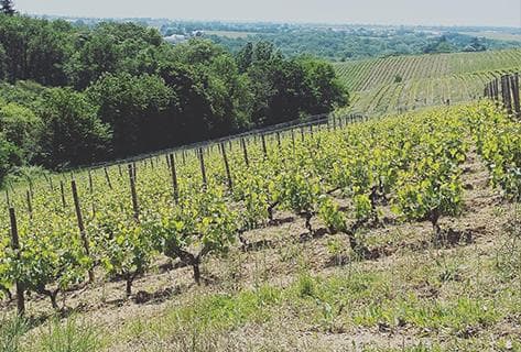 Château de Plaisance - 2