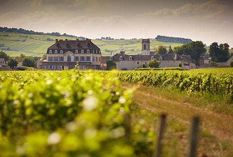 Château de Pommard - 1