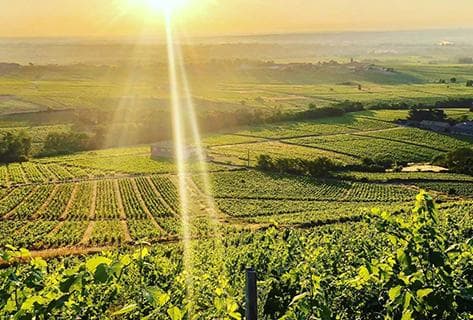 Château de Poncié (anciennement Villa Ponciago) - 1