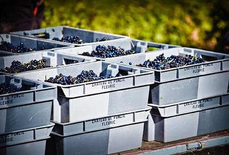 Château de Poncié (anciennement Villa Ponciago) - 2