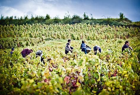 Château de Poncié (anciennement Villa Ponciago) - 3