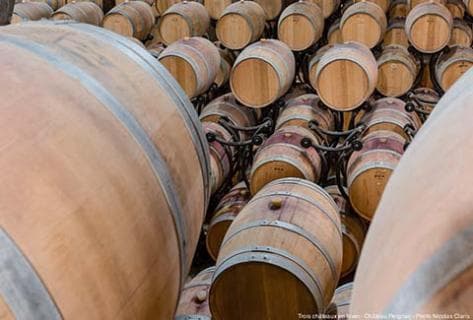 Château de Reignac - 2