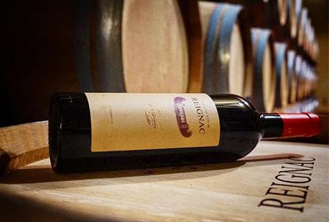 Château de Reignac - 3