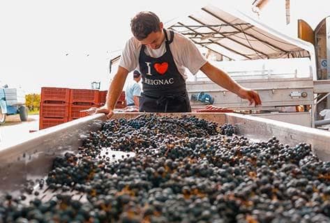 Château de Reignac - 4