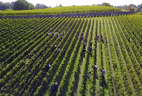 Château de Valandraud - 2