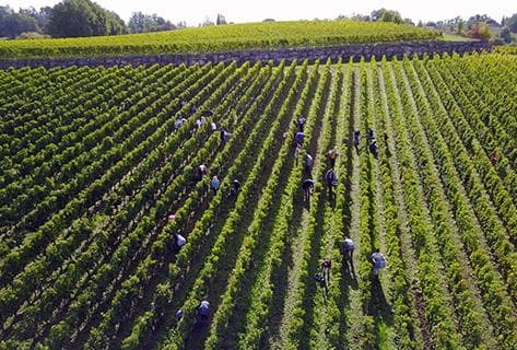 Château de Valandraud - 2