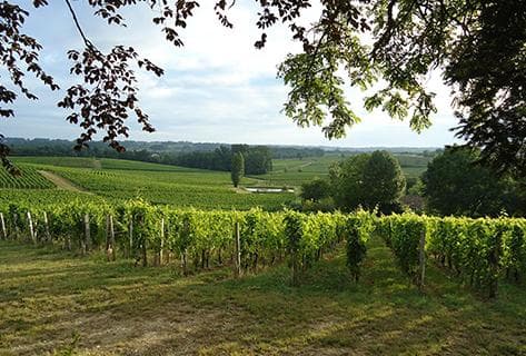 Château de Valandraud - 3