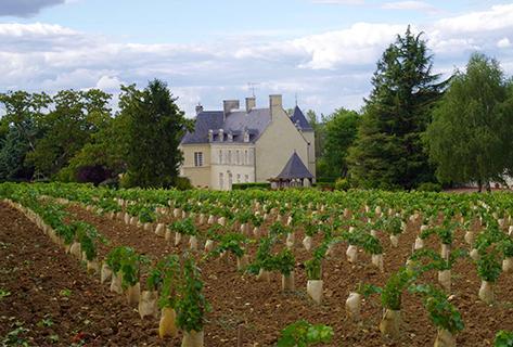 Château de Villeneuve - 2