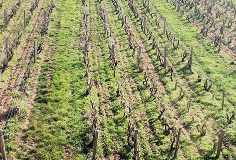 Château des Bachelards - 2