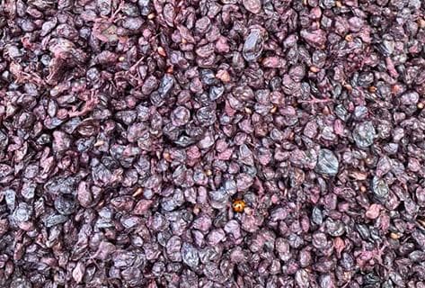 Château des Bachelards - 4