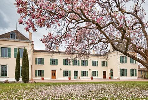 Foto della tenuta - Château des Jacques - Louis Jadot