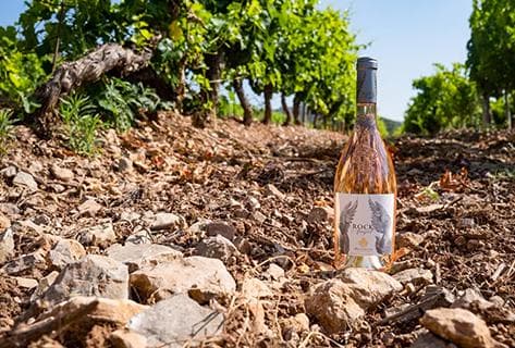 Château d'Esclans - 3