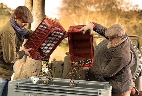 Château d'Estoublon - 3