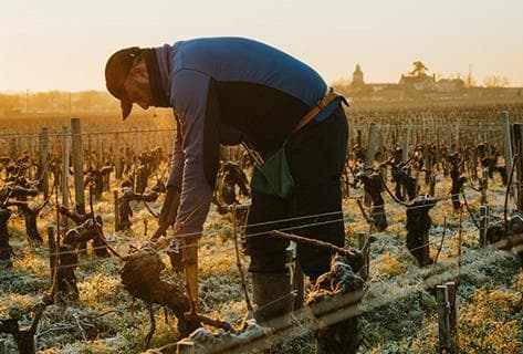 Château d'Issan - 2