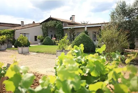 Foto des Partnerweinguts Château Doisy Daëne