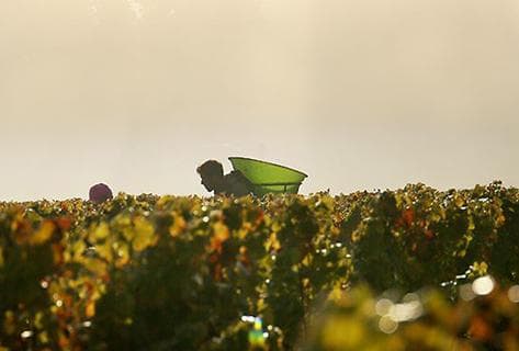 Château Doisy Daëne - 3