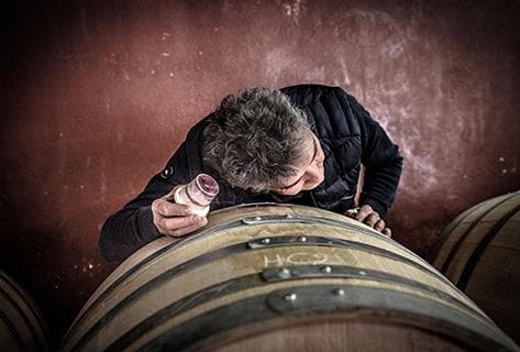 Foto des Partnerweinguts Château du Cèdre