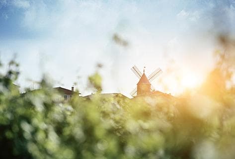 Château du Moulin à Vent - 1