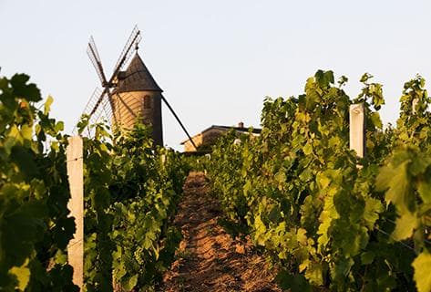 Château du Moulin à Vent - 2