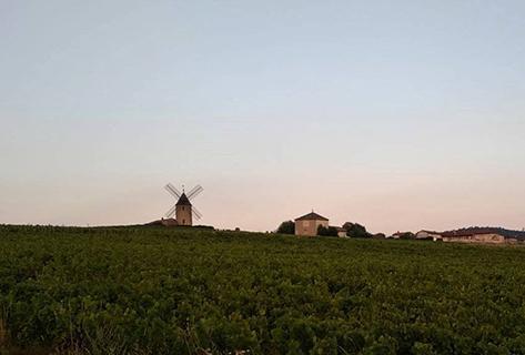Château du Moulin à Vent - 4